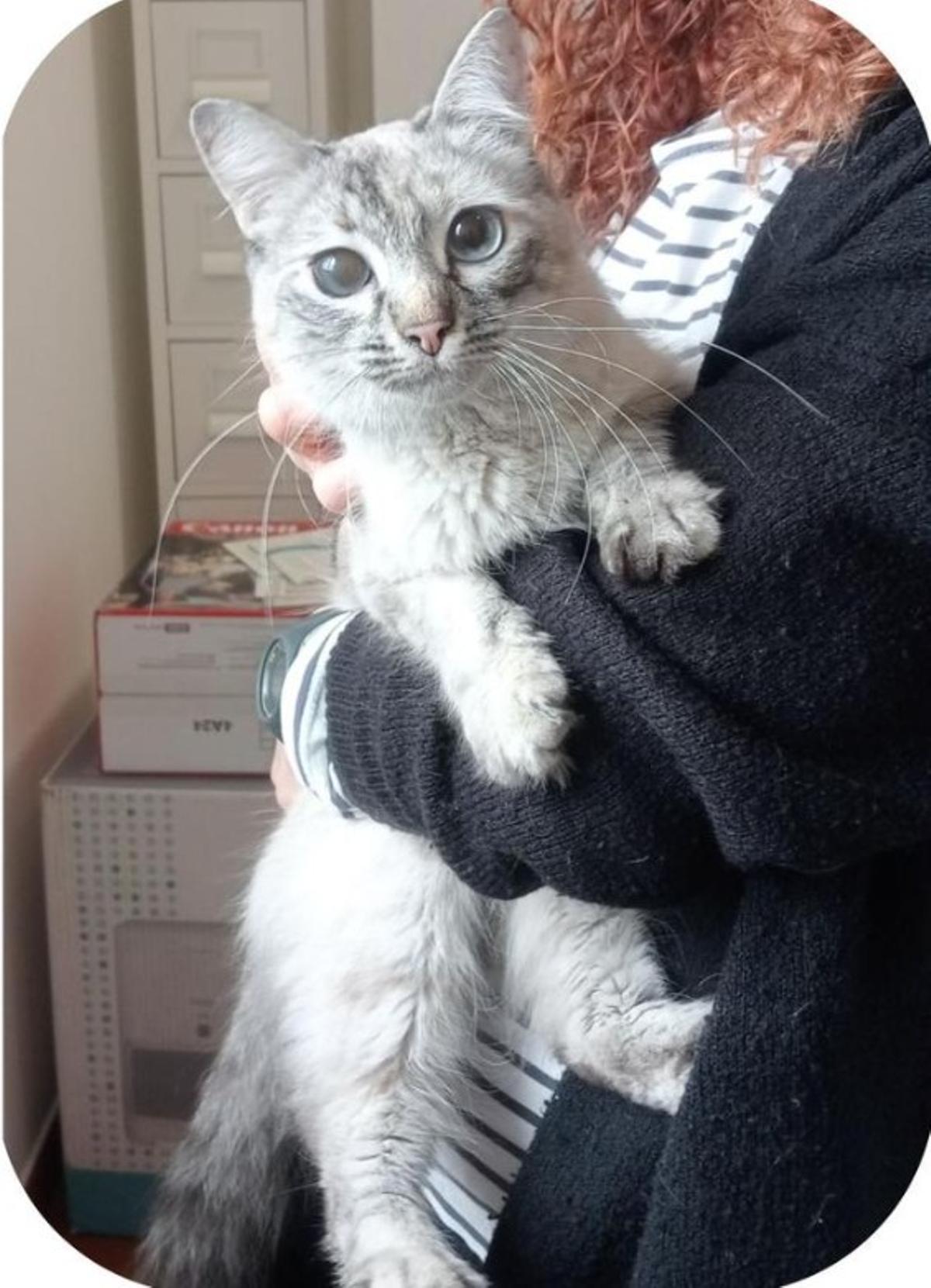 Foto de la madre, que se había colado en un establecimiento.