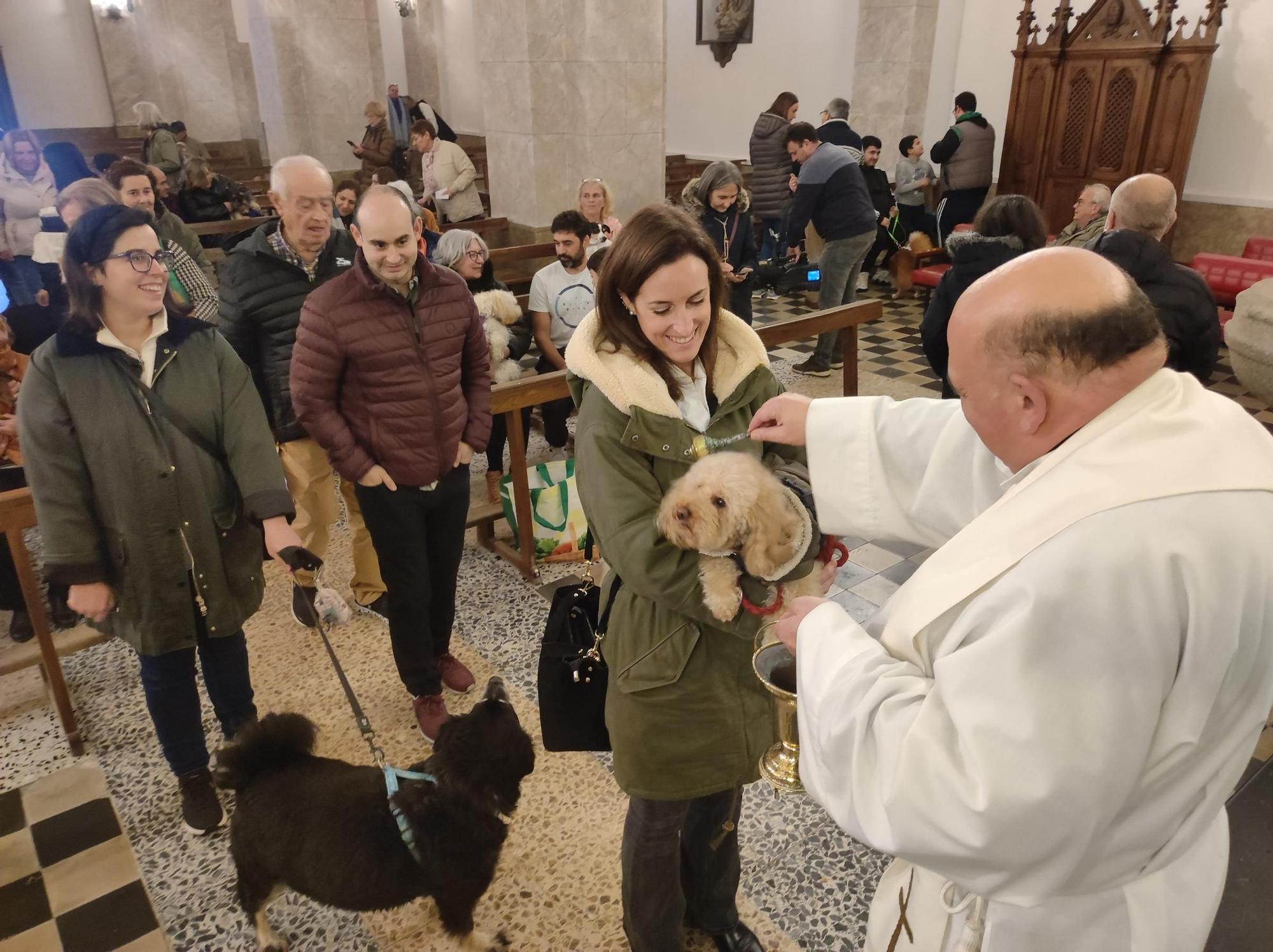 En imágenes: Así fue la bendición de mascotas por San Antón, en Tapia