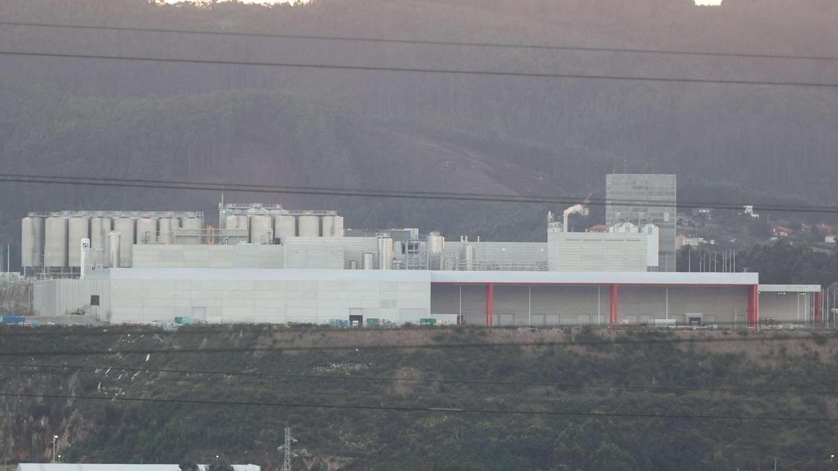 Nueva fábrica de Estrella Galicia en el polígono de Morás.