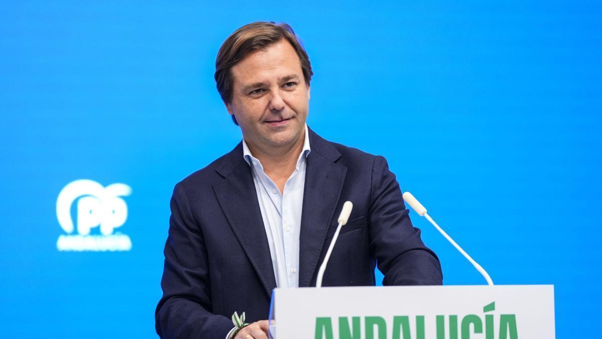 El secretario general y coordinador del Comité de Campaña Electoral del PP de Andalucía para las elecciones autonómicas, Antonio Repullo.