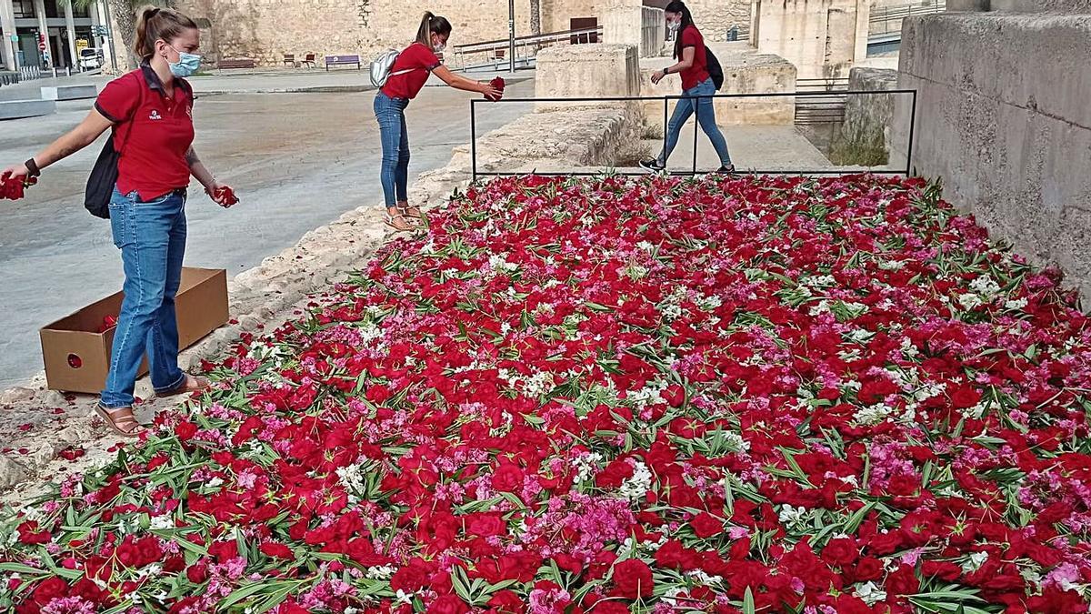 Mosaico floral en el MAHE para conmemorar la Batalla de las Flores | INFORMACIÓN