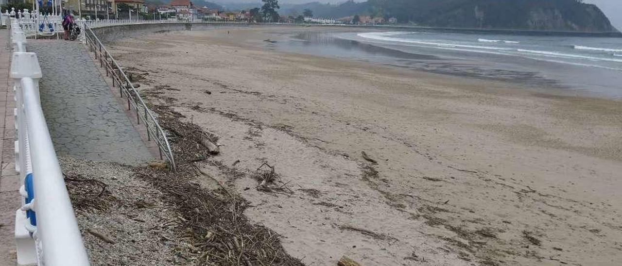 Aspecto del arenal riosellano de Santa Marina, cubierto de palos y basura.