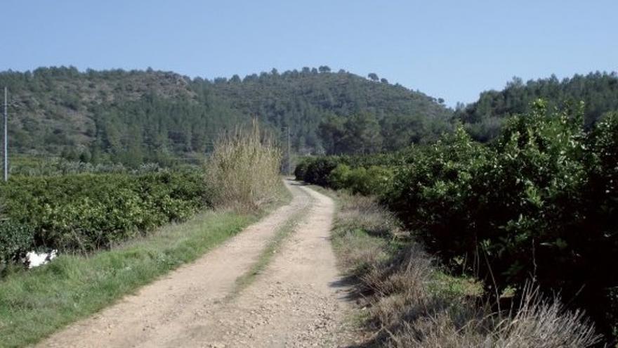 La Vía Verde del trenet de Carcaixent