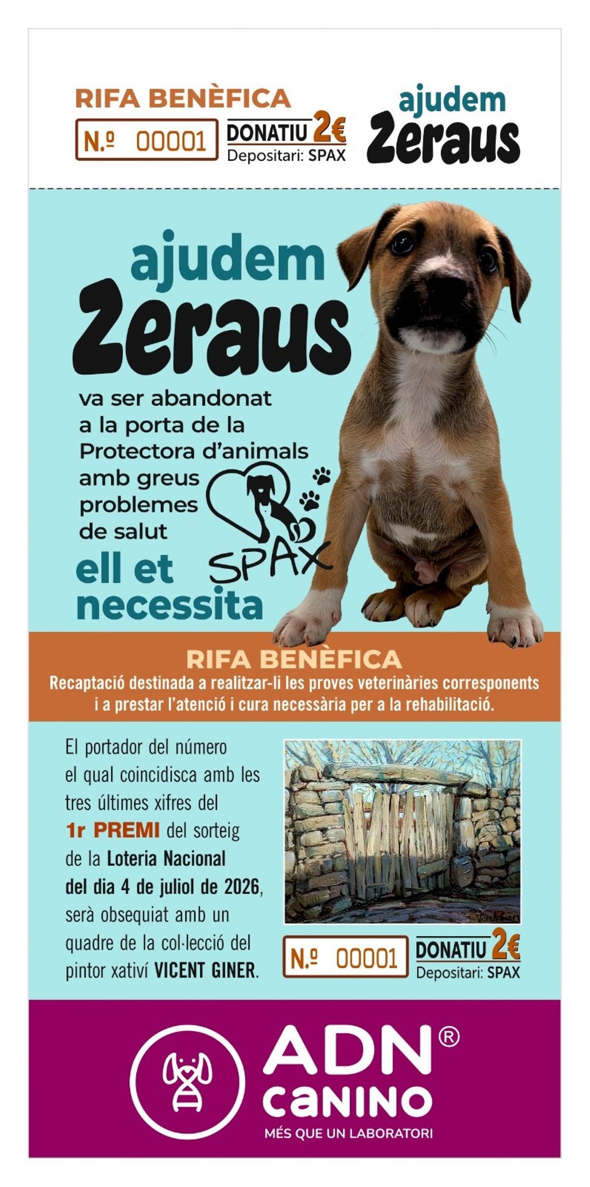 Instrucciones sobre la rifa para costear los tratamientos del cachorro publicadas por la protectora Spax de Xátiva.