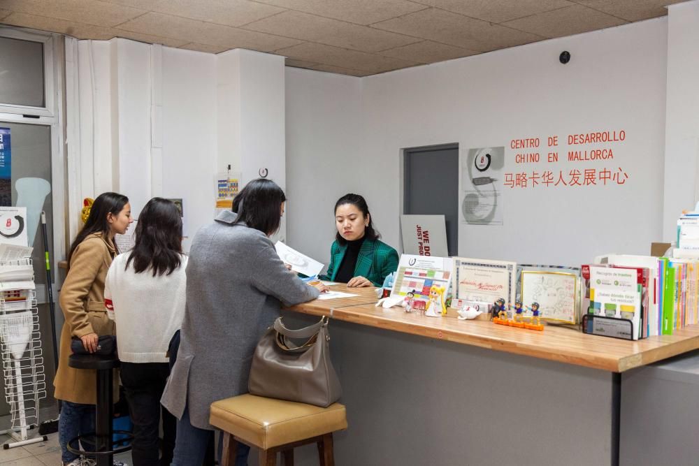 Políglotas en el primer examen oficial de chino en Pere Garau