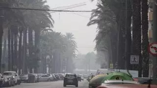 La quema de la paja del arroz impregna la Ribera con su humo