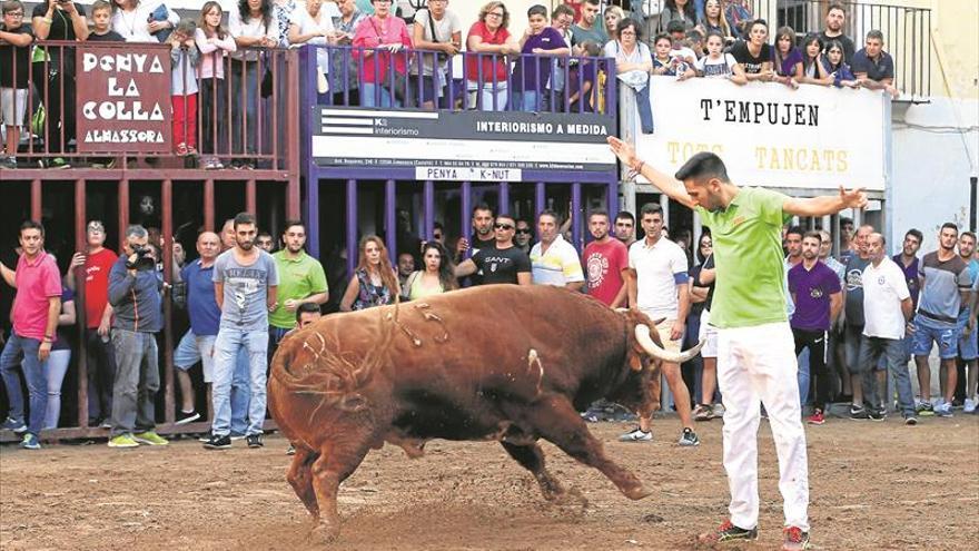 Castellón aspira este año a celebrar 6.000 festejos de ‘bous’