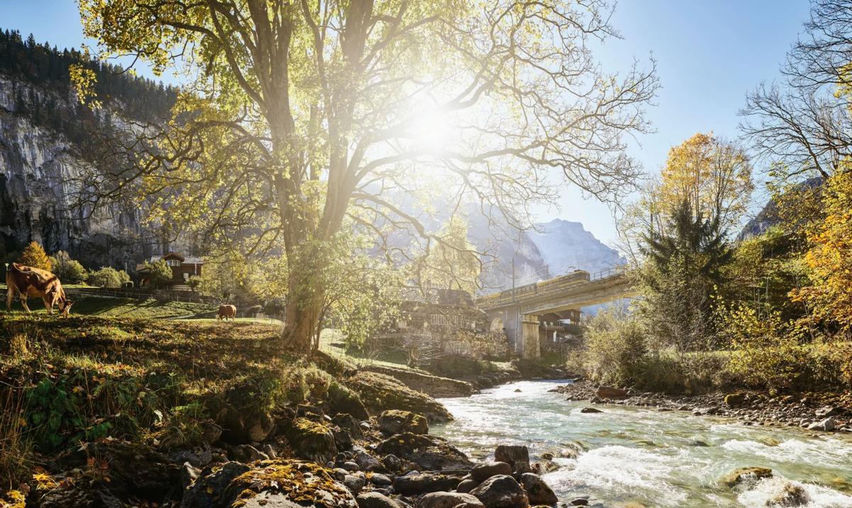 Ferrocarril Wengernalpbahn