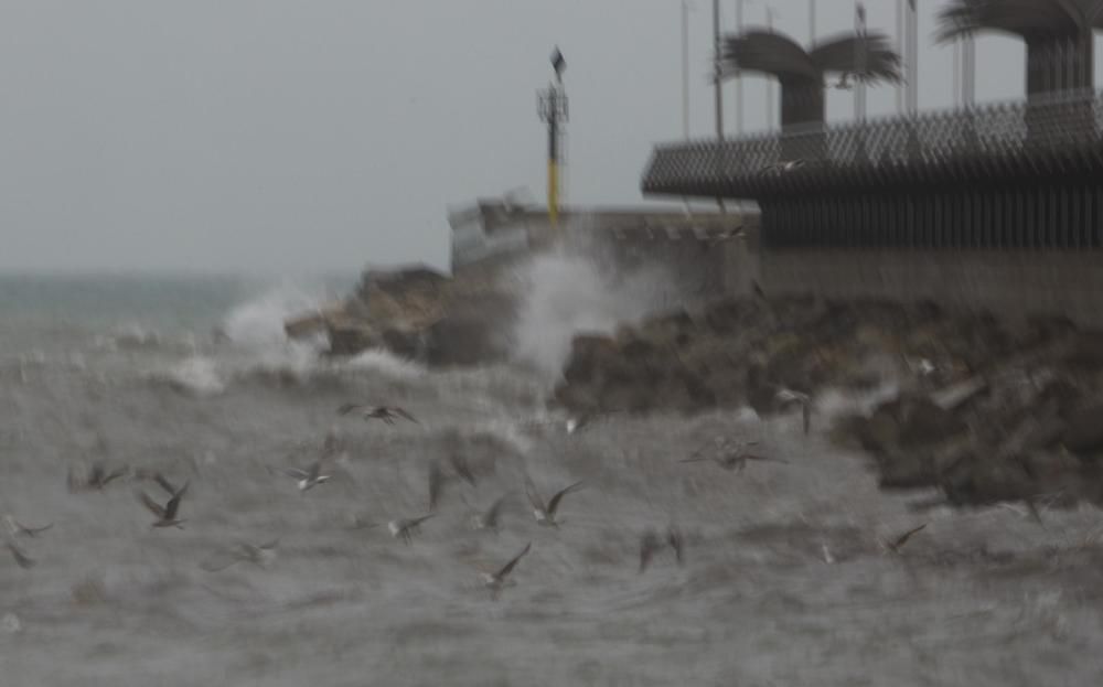 Imágenes del temporal de lluvia y viento en la playa del Postiguet en Alicante.