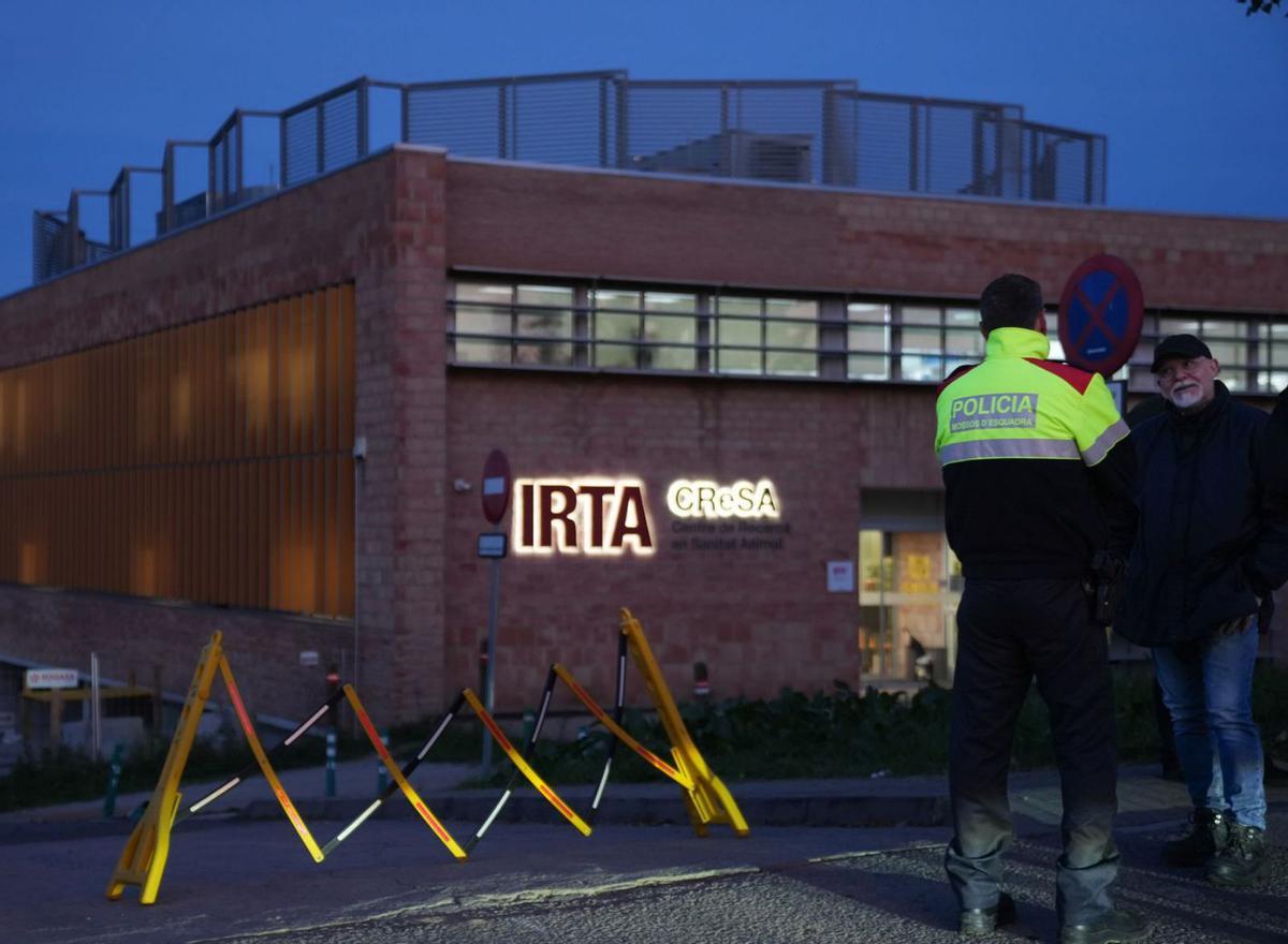 Catalunya auditarà els laboratoris que tracten la pesta porcina africana