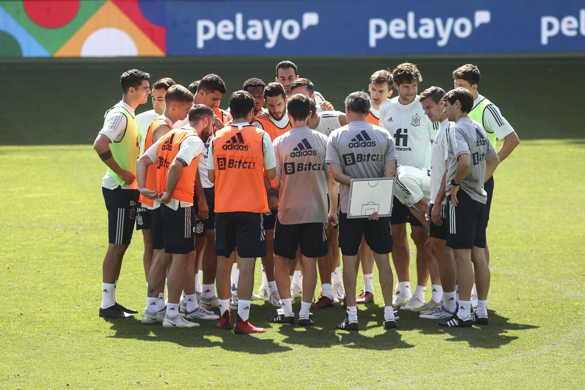 España se entrena en La Rosaleda para preparar el partido ante la República Checa