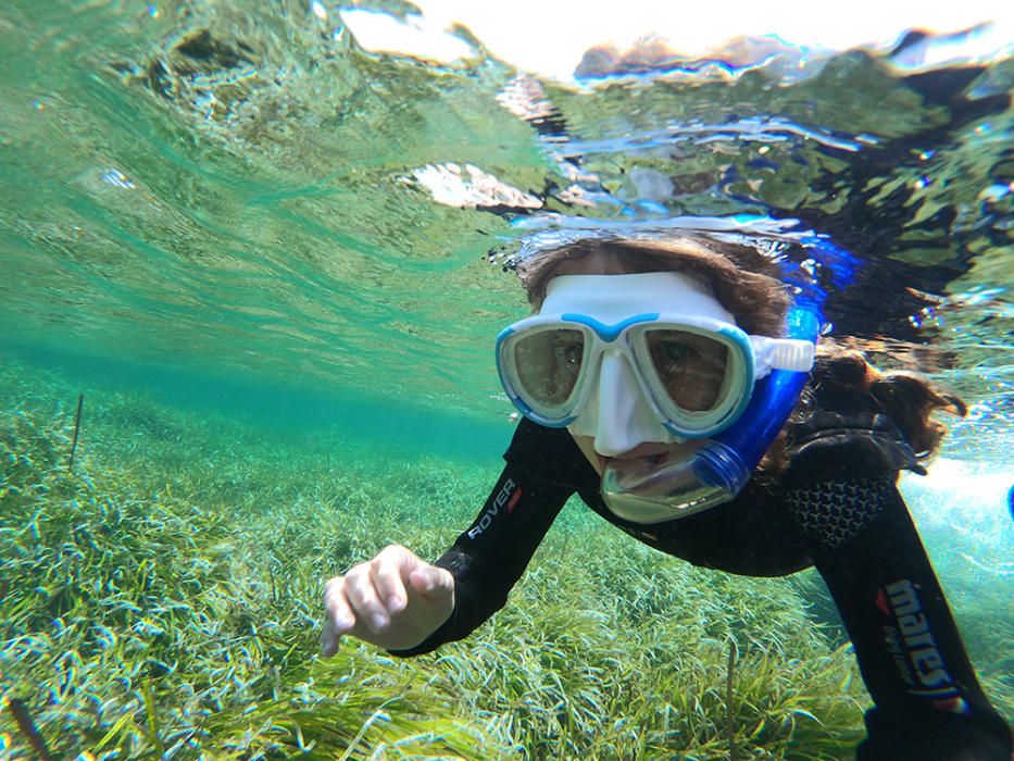 Zambullida para conocer la posidonia