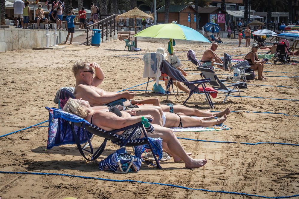 Primer día de baño autorizado en las playas de Torrevieja con arena parcelada y controles de acceso