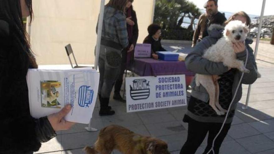 La carpa informativa se instaló junto al Hombre del Mar.