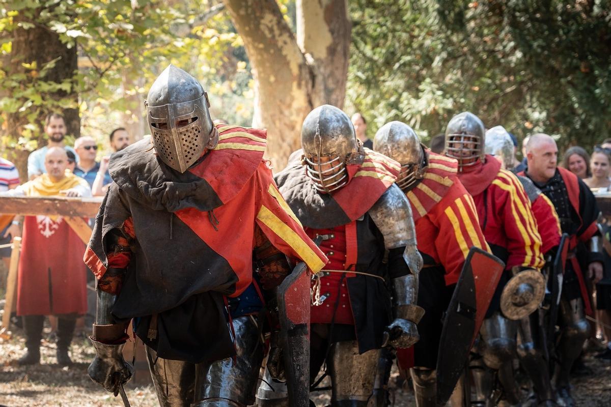 Born Combat Medieval.