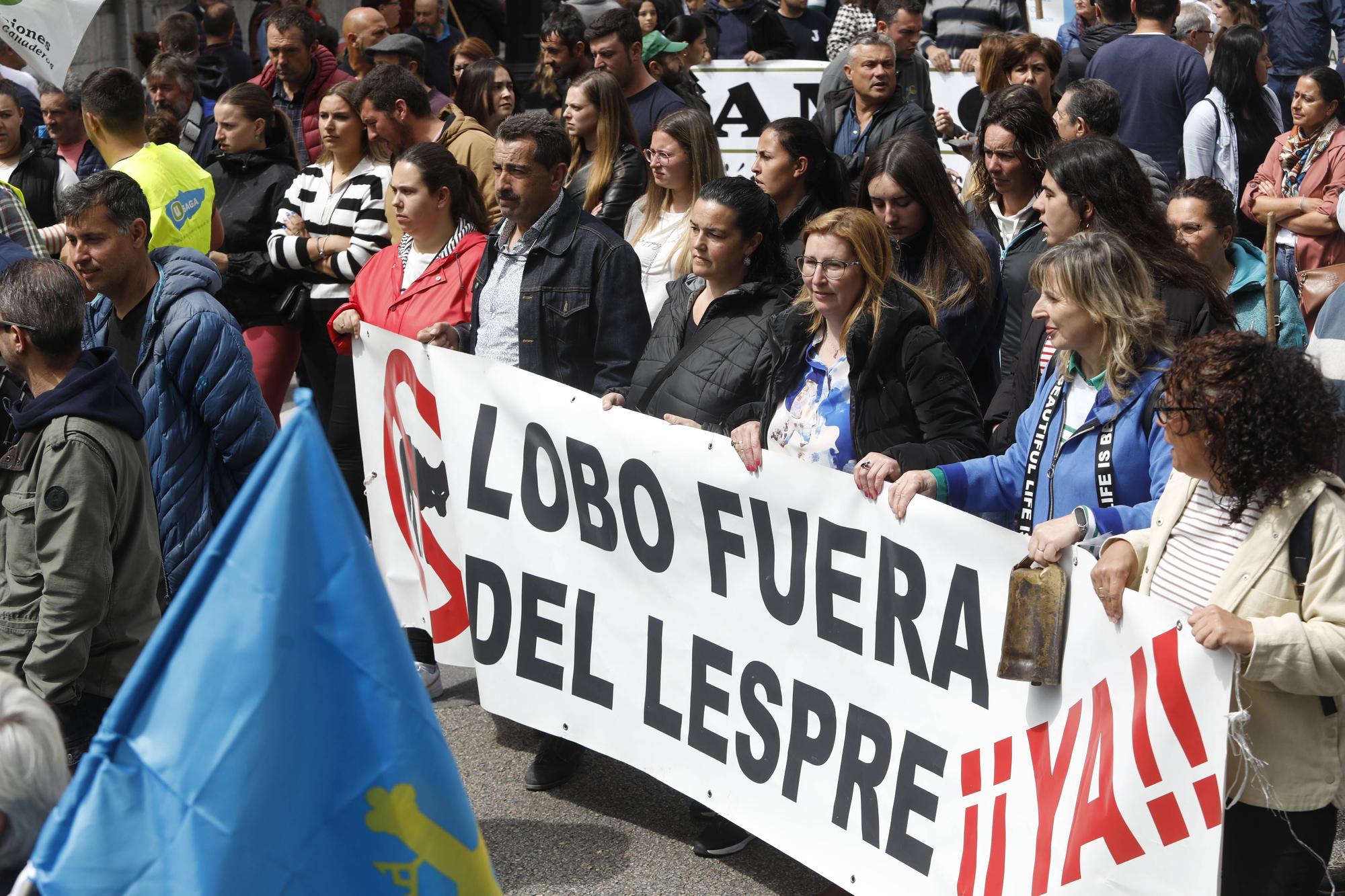 EN IMÁGENES: Así fue la tractorada de protesta del campo asturiano en Oviedo