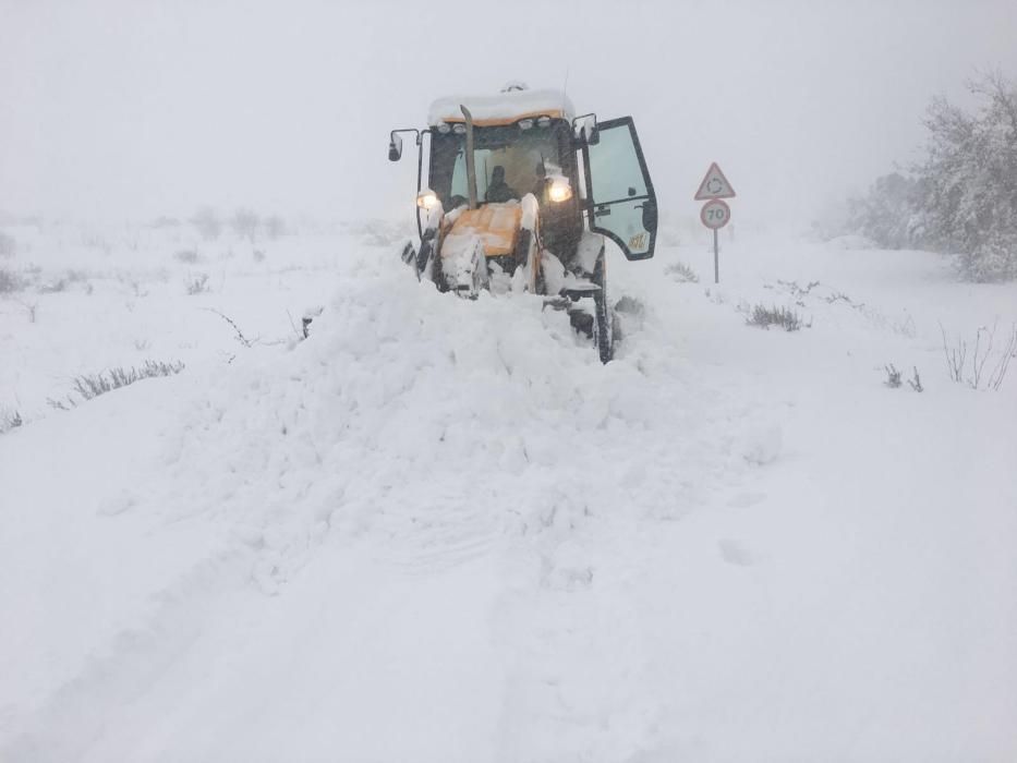 Una máquina excavadora prácticamente enterrada por la nieve en Fontanars dels Alforins.