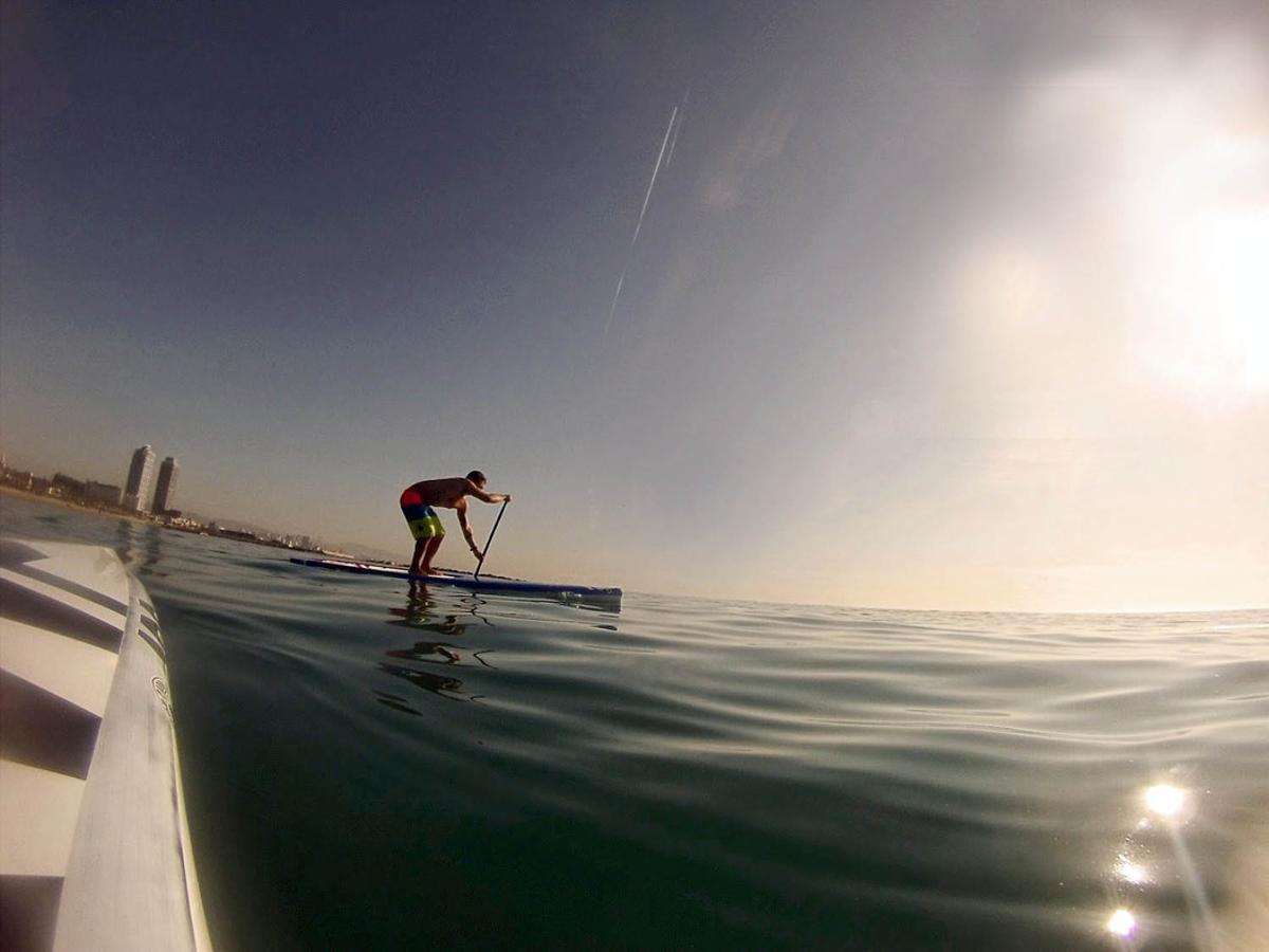 surf surf