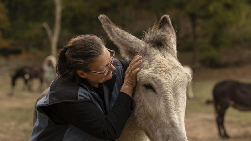 Terapia con burros en la asociación Andrea. |  Brais Lorenzo