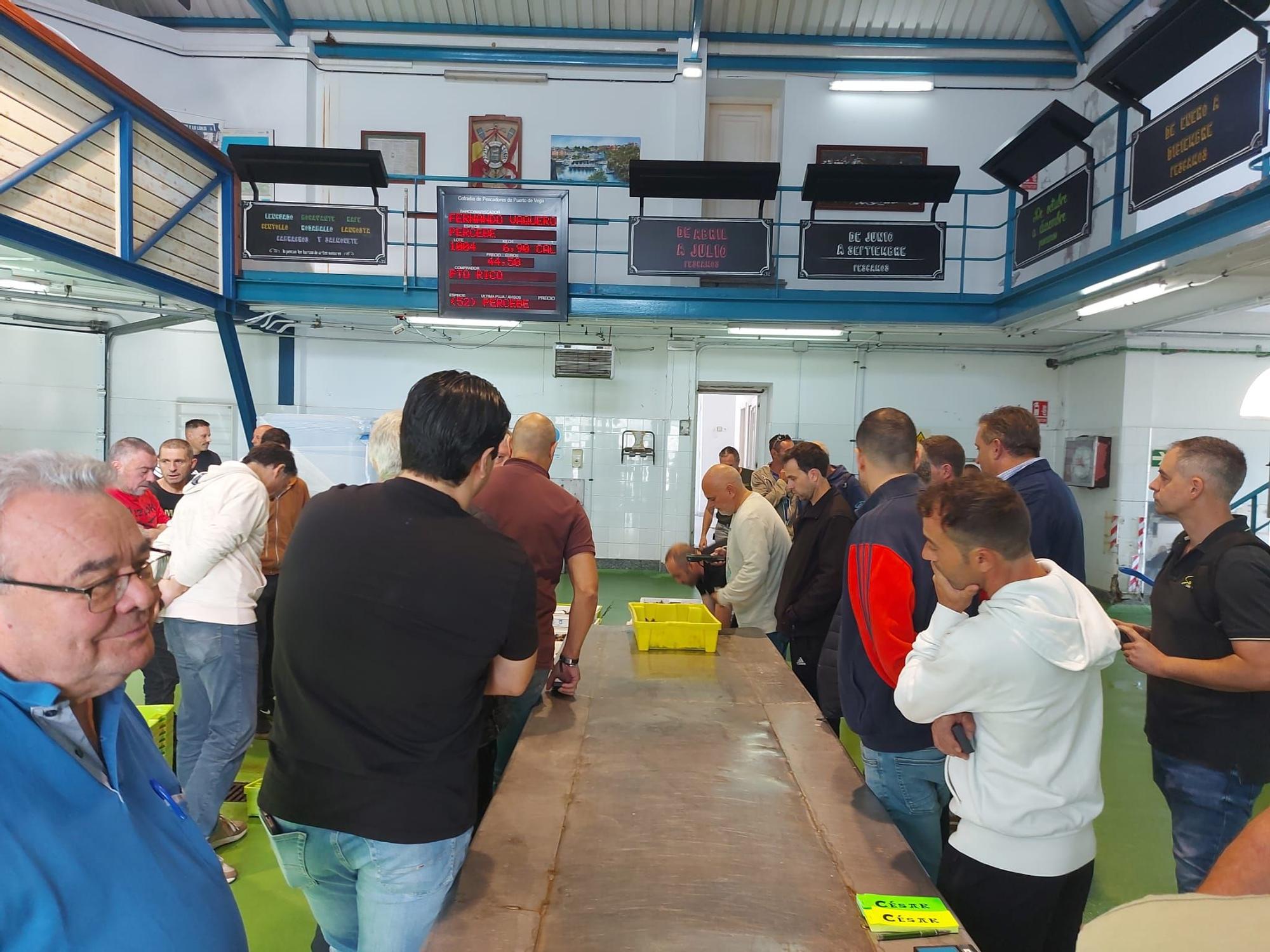 En imágenes: La primera subasta de percebe de la temporada en la rula de Puerto de Vega