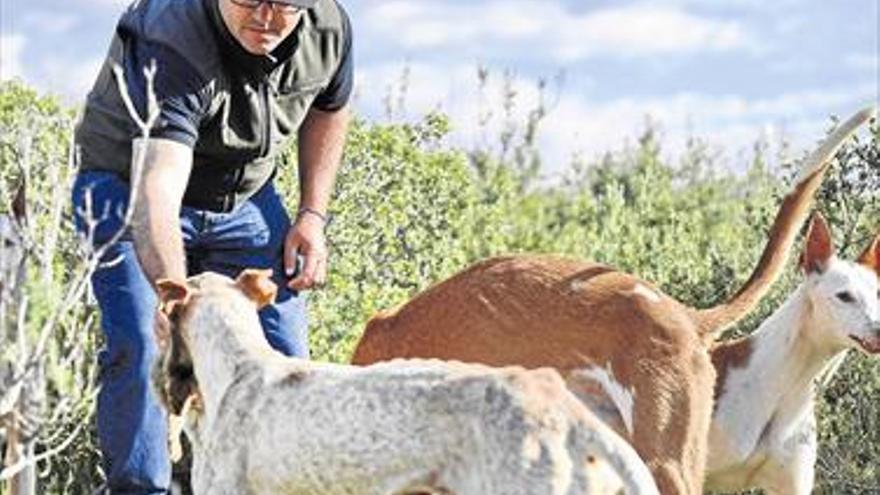 Vilanova, a la caza del turista