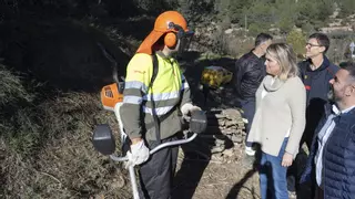 La Diputación de Castellón refuerza la prevención y la lucha contra los incendios con las Brigadas Rurales de Actuación Forestal