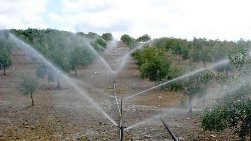 Crean un sistema para predecir el uso de agua en riego