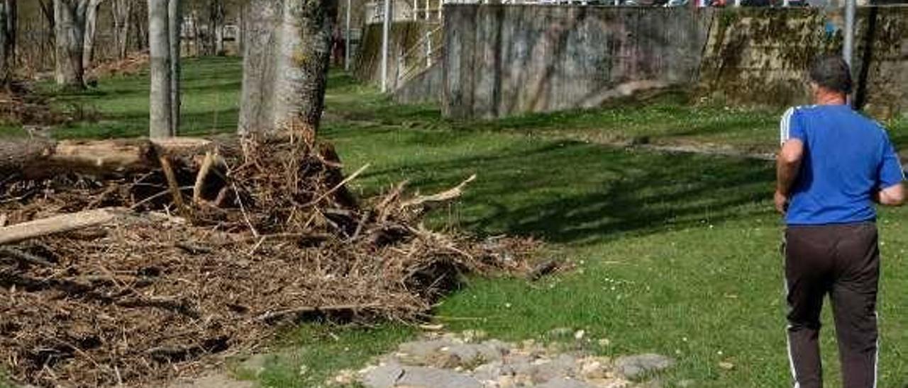 Un corredor pasa junto a los troncos acumulados en la pista.