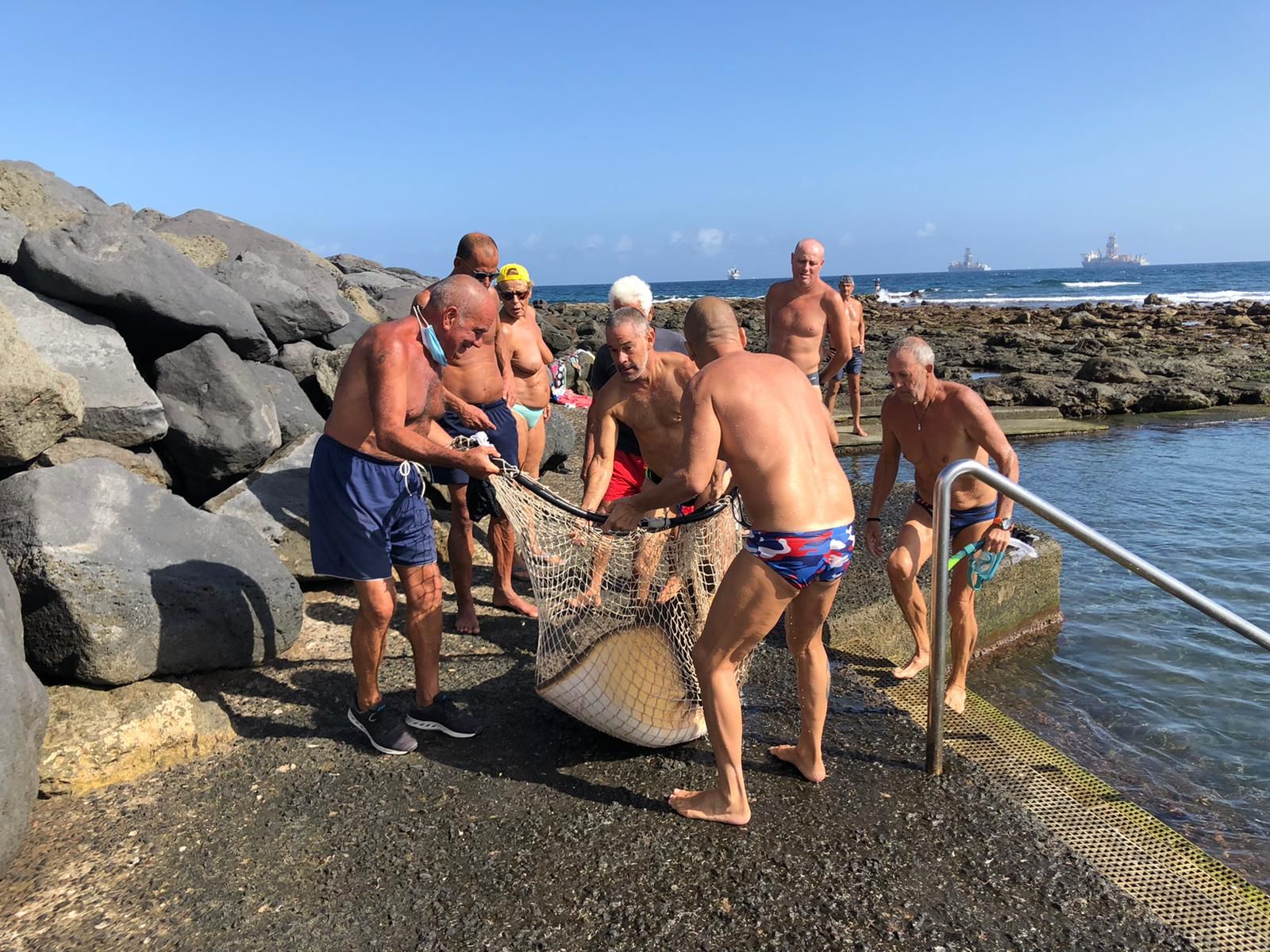 Rescate mantelina piscinas La Laja noviembre 2020.jpg