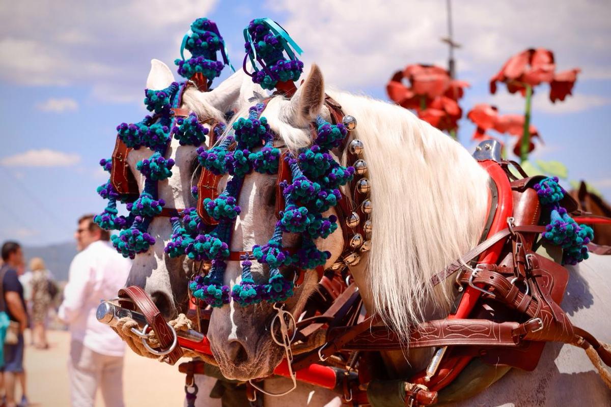 El paseo de los Carruajes de Tradición por la Feria de Córdoba, en imágenes El paseo de los Carruajes de Tradición por la Feria de Córdoba, en imágenes