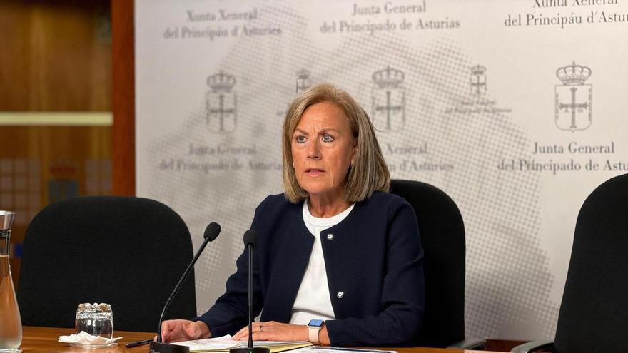 La Ley de Salud Mental de Asturias necesita "recursos, evidencia científica, seguridad y resultados evaluables", dice el PP