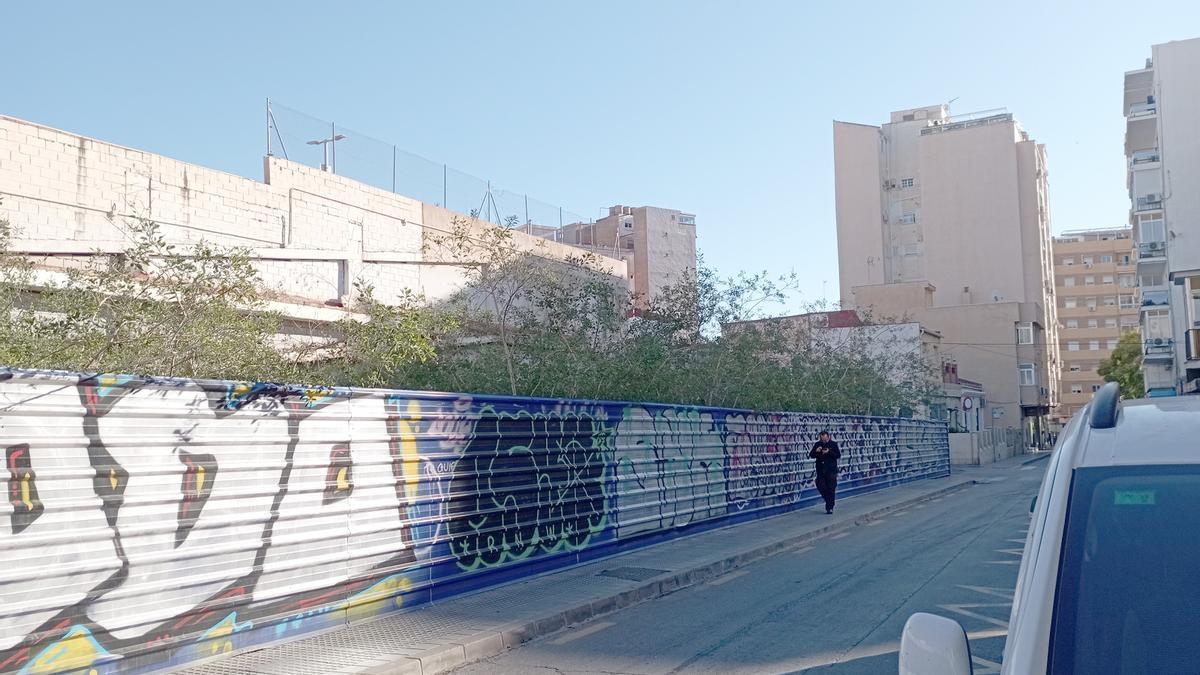 El solar reverdecido de calle Bailén, esta semana.