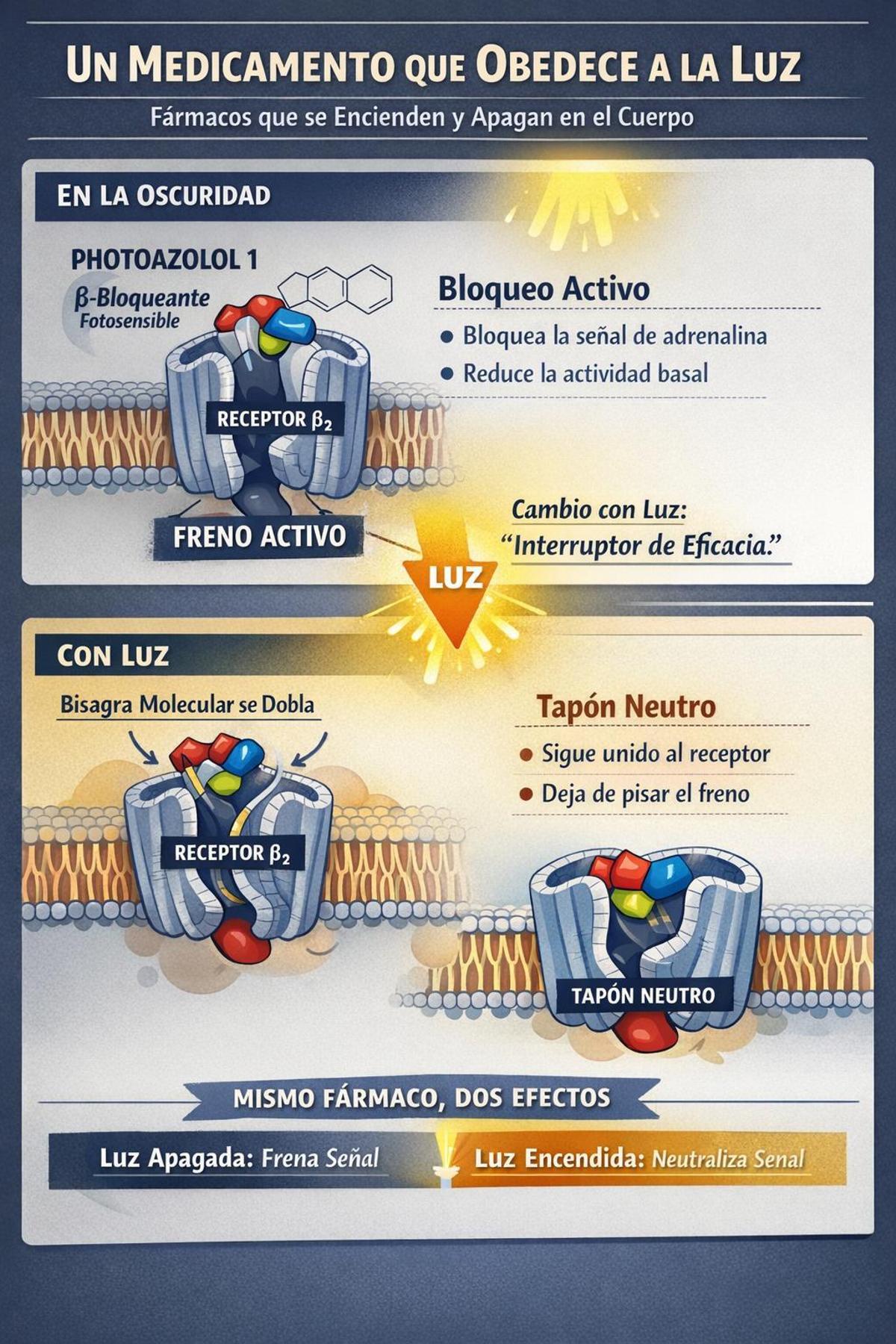 Mecanismo del fármaco que sigue a la luz.