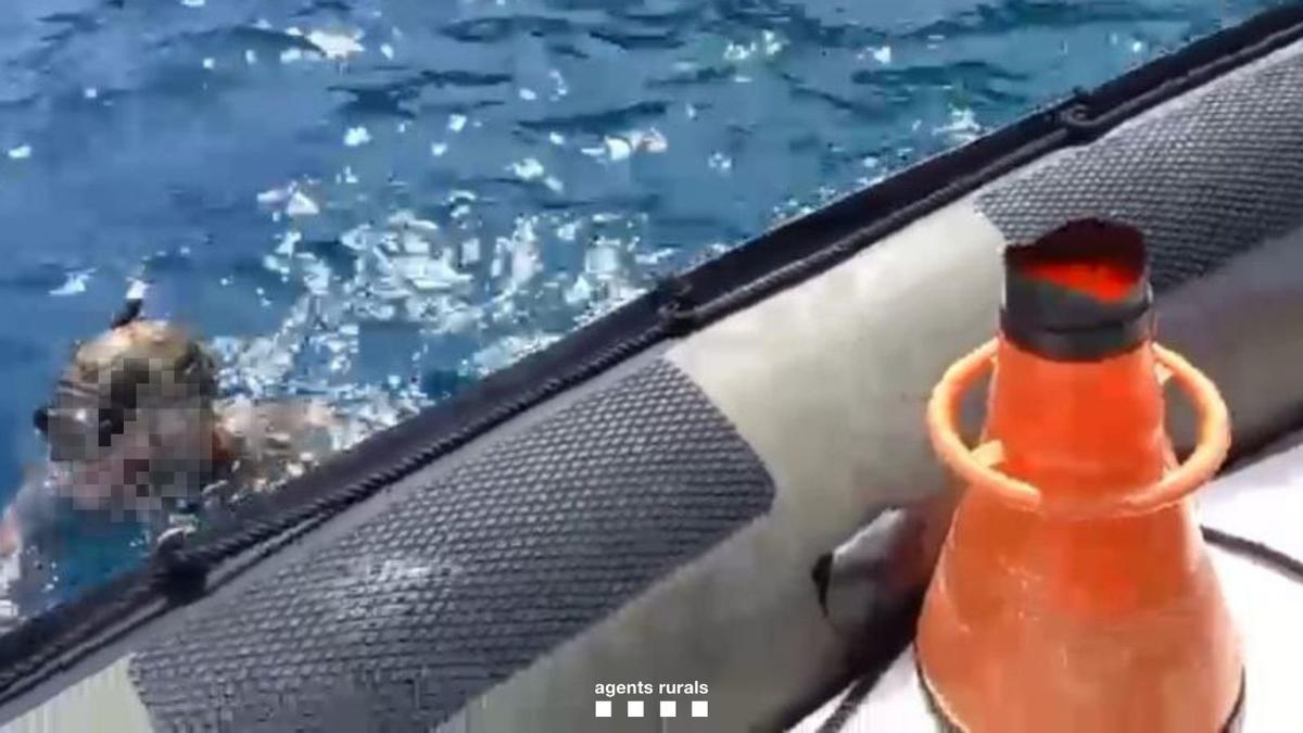 Imagen del pescador furtivo cazado por Agents Rurals