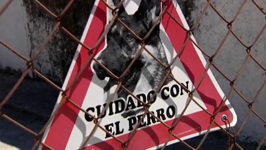 Fallece un niño de cuatro años en Jaén atacado por un perro
