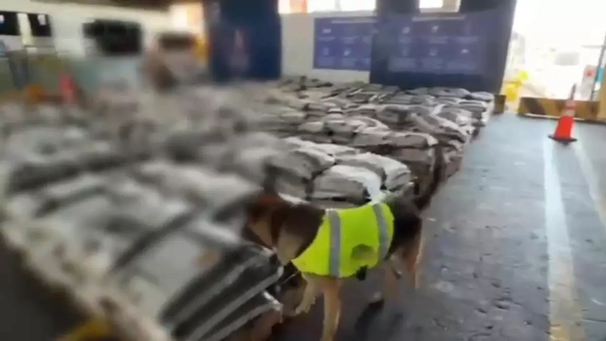 La Policía saca del mercado 2,4 toneladas de cocaína con destino al Puerto de València