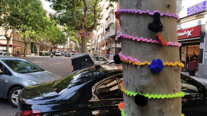 Así de colorida y vital ha amanecido la avenida de Tres Cruces de Zamora este sábado