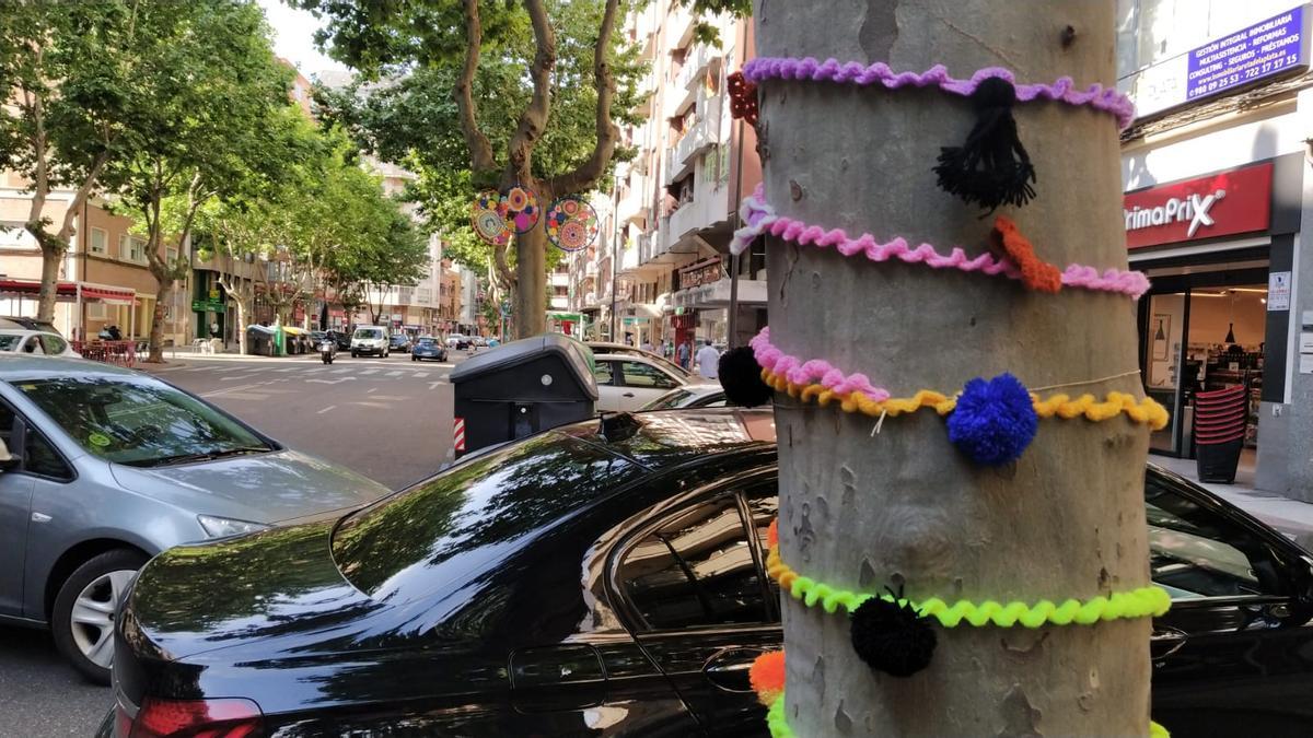 VÍDEO | Así de bonita ha amanecido este sábado la avenida de las Tres Cruces de Zamora
