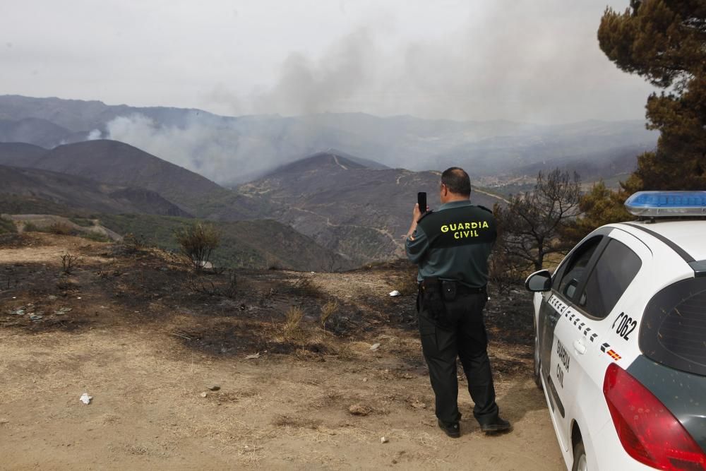 Incendio en los montes de León