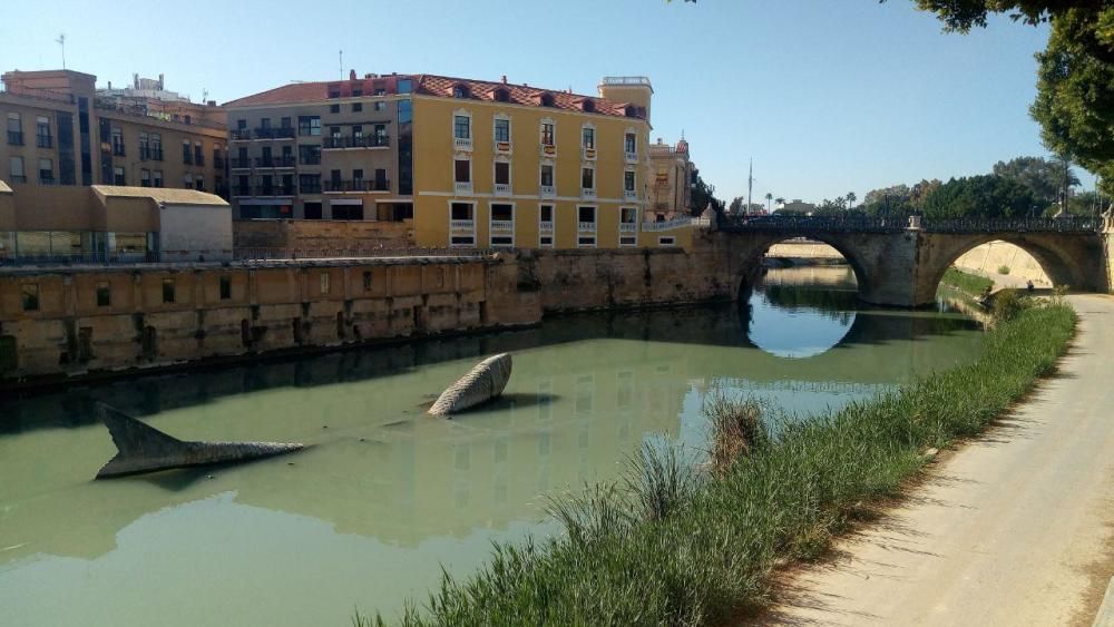 El río Segura a su paso por Murcia