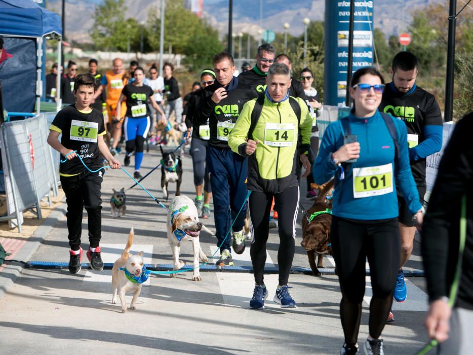 Can We Run: Gran carrera de perros para la concienciación animal