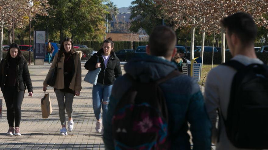 Alumnos de la UA y la UMH podrán hacer prácticas en la conselleria de Agricultura