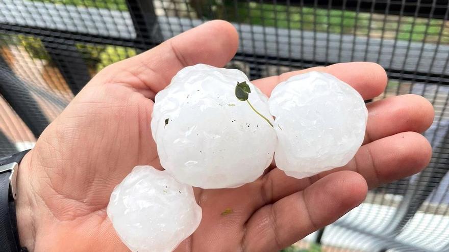 Pedregades a diferents punts de la Selva, el Gironès, el Ripollès i la Garrotxa