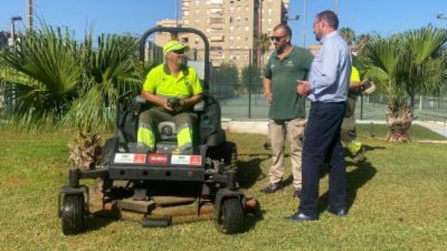 Parques y Jardines podará 38.000 árboles y repondrá 130.000 flores este verano en Murcia