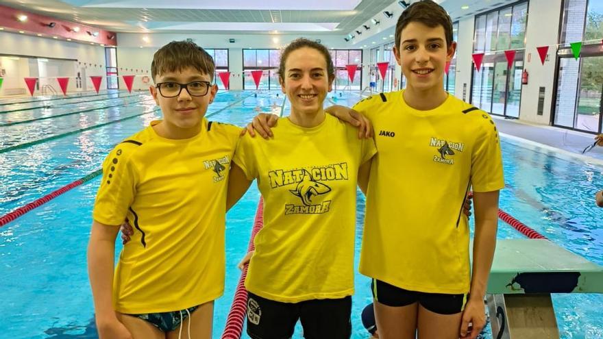 Tres nadadores zamoranos en el Campeonato de España de Selecciones Territoriales