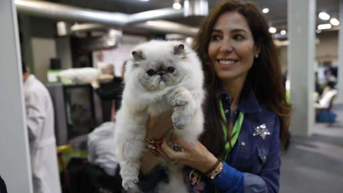 Una joven con un gato en la pasada edición de la cita.