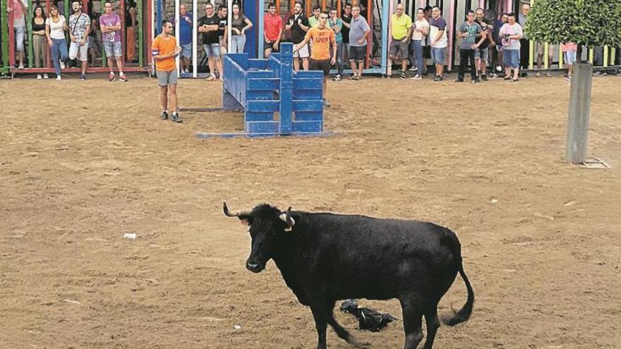 Comienza el concurso de ganaderías de Festa la Vila