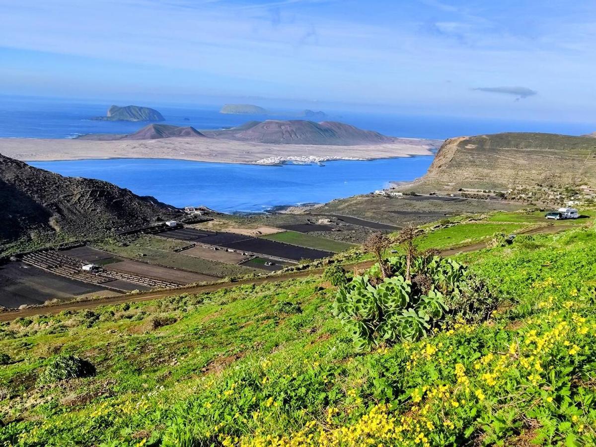 Los campos del norte de Lanzarote se tiñen de verde por las lluvias del invierno