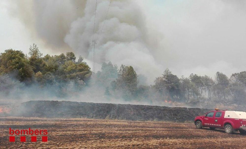 Incendi forestal a Sant Feliu Sasserra
