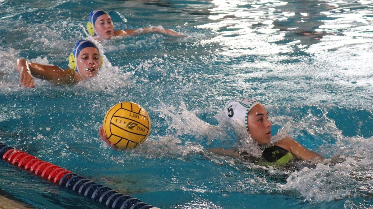 El Waterpolo Málaga se enfrentará este domingo al Ciudad de Rivas de Madrid.